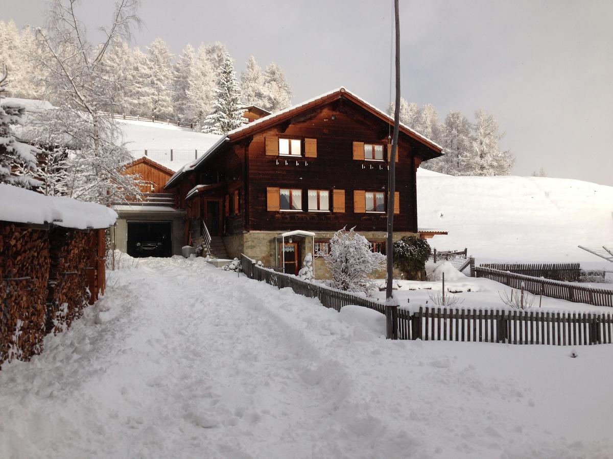 Chalet Nidus Montis Casti-Wergenstein Eksteriør billede